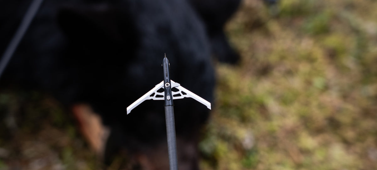 Mechanical broadhead for black bear hunting