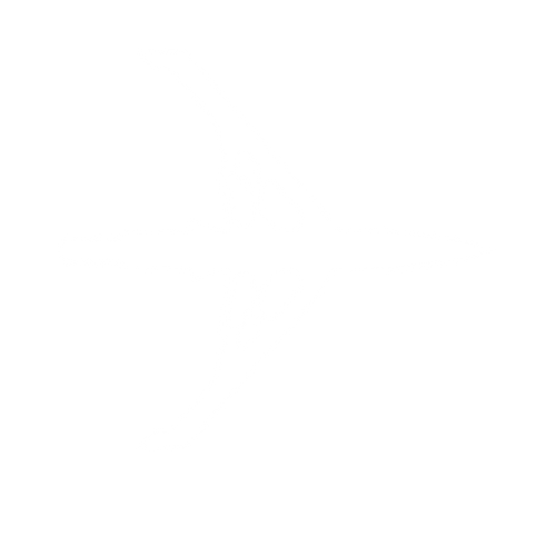 Speed Broadheads